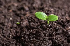 The power of starting small: A practical guide to marketing without the overwhelm